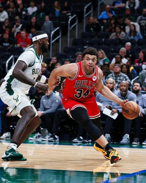 公牛队是哪个国家的球队？深入探秘芝加哥公牛队的精彩瞬间