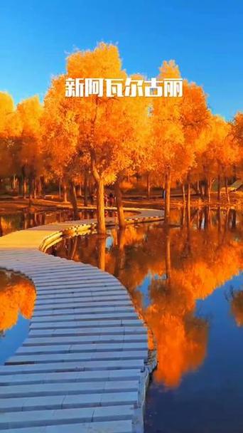 阿瓦尔古丽是啥意思?揭秘新疆女孩名字的秘密