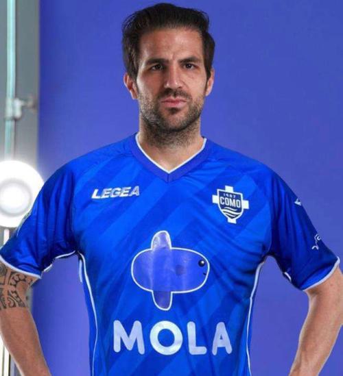 法布雷加斯年薪曝光!他到底赚了多少钱?