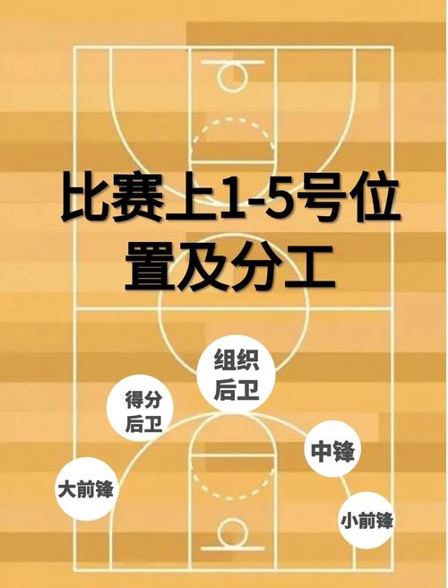 小前锋在篮球比赛中是几号位？详细介绍