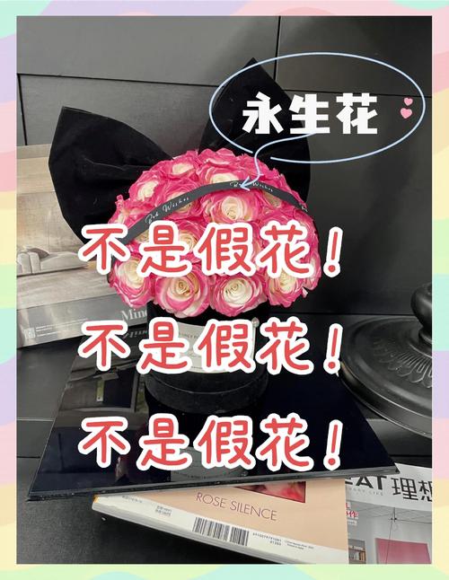 永生花是什么花？它和普通鲜花有什么区别？
