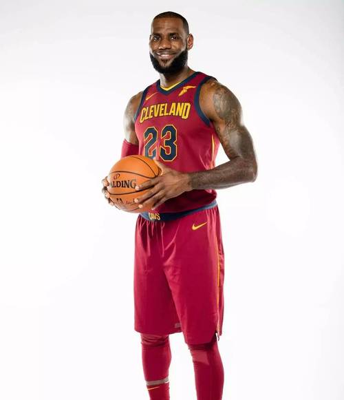 詹姆斯是什么队的球员？带你了解詹姆斯效力球队