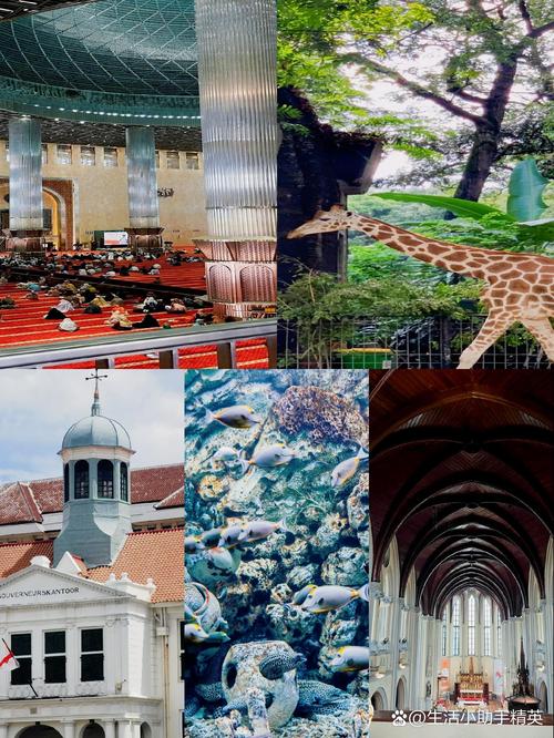 雅加达是哪个国家的?关于雅加达你不得不知的几件事