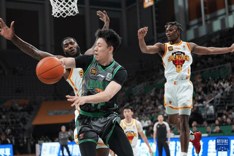 张镇麟爸爸是哪个队的？他与儿子的篮球渊源