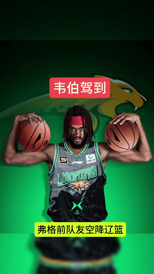 你知道NBA韦伯的身高吗？韦伯身高与职业生涯深度解析