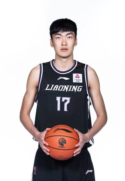 CBA球员刘雁宇的家乡在哪里？揭秘刘雁宇的出生地及成长经历。