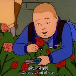 鲍比希尔是谁？一篇深度解读神秘人物！