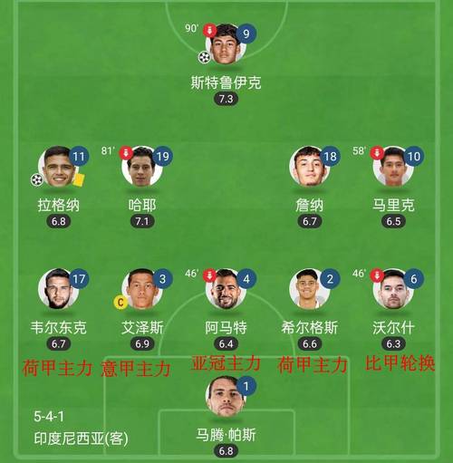 足球规划球员是什么意思？深度解析归化球员制度