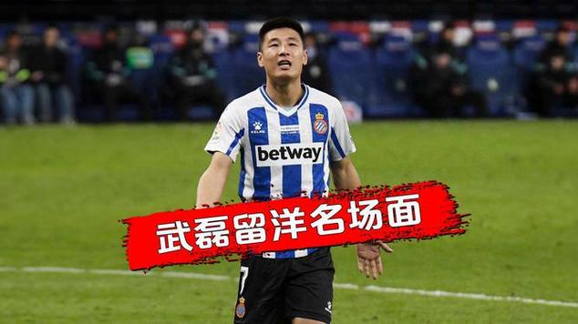 西乙武磊的进球数：详细数据分析及回顾