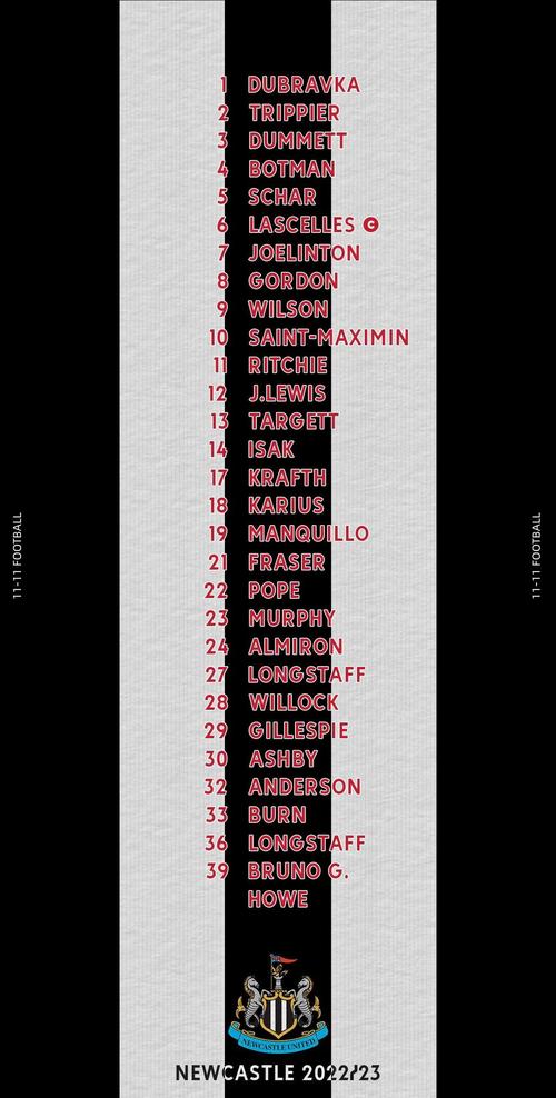 2024赛季英超球队名单：你支持哪支球队？快来pick你的主队！