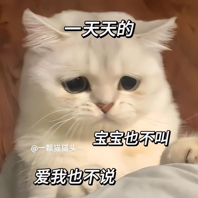 抖音热门你不爱我了表情：快速get同款，表达你的心声