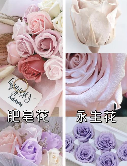 永生花是什么花？它和普通鲜花有什么区别？