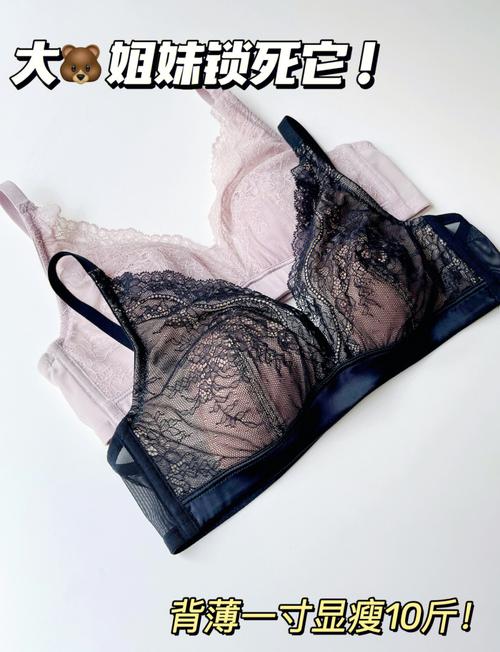 想了解伊维斯内衣的优缺点，大家觉得怎么样？