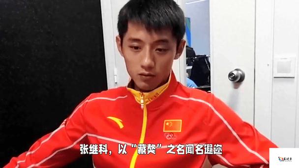 马龙与张继科谁更强？从技术到成就全面分析