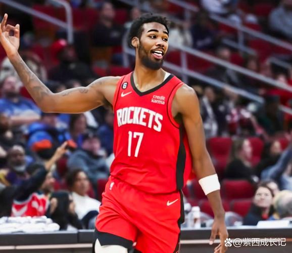 深入了解NBA火箭队老板：财富、经历及球队未来