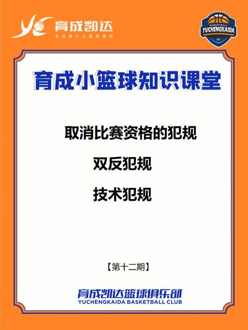 深入了解篮球犯规：不同犯规类型、判罚标准及处罚措施