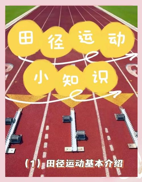 体育运动项目有哪些？各种球类、田径运动全解析