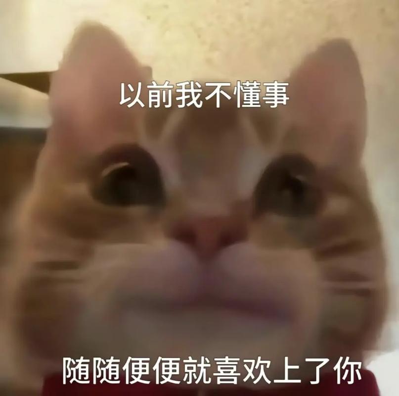 抖音热门你不爱我了表情：快速get同款，表达你的心声