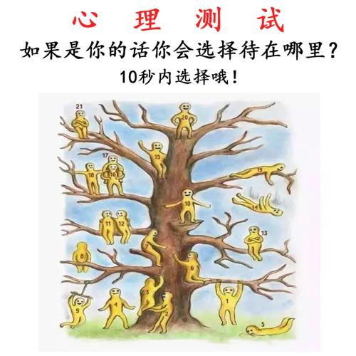 想知道全明星赛在哪里举办吗？这里有你想要的答案！
