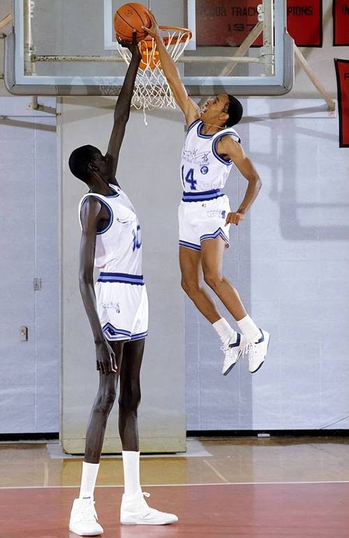 奥尼尔身高有多高？震撼你的超级巨星身高数据！