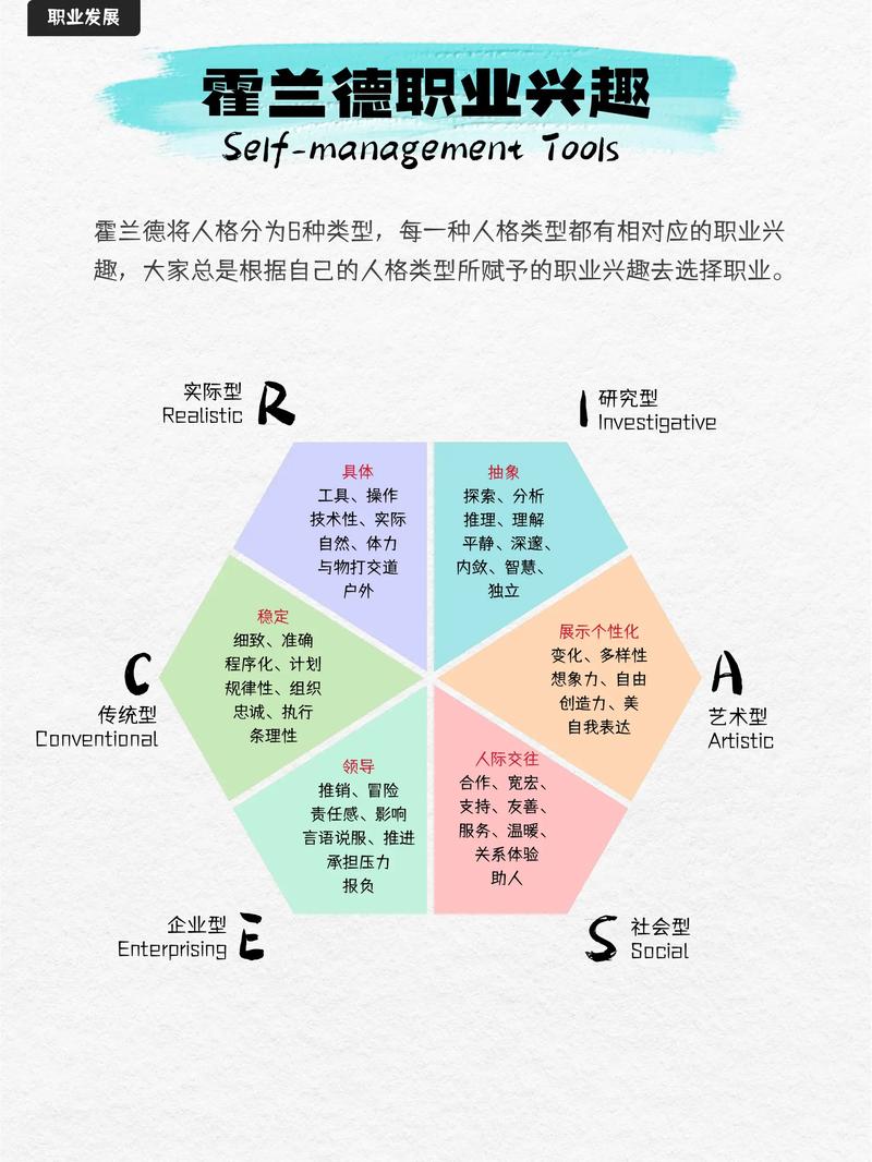 范安霍尔特职业生涯表现如何？实力深度解析
