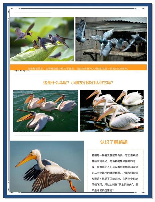“鹈鹕”拼音怎么读？tí hú读音及详细解释