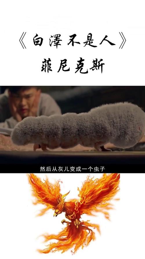 传说中的菲尼克斯不死鸟：它究竟是何方神圣？