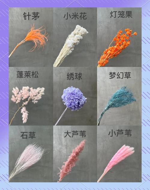 永生花是什么花？它和普通鲜花有什么区别？