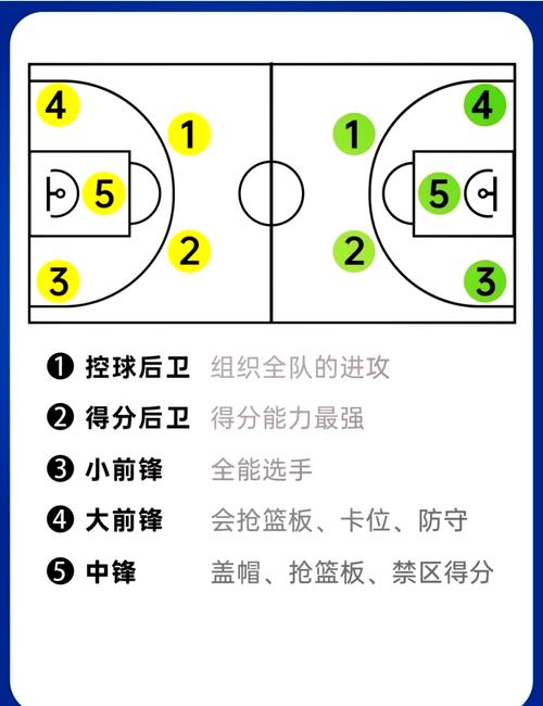 篮球运动员分在哪个球队?深度解析球员球队归属!