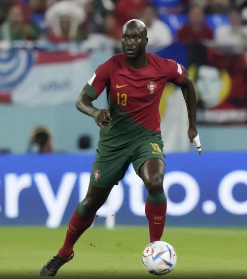 达尼洛佩雷拉:实力究竟如何?深度剖析他的职业生涯和成就