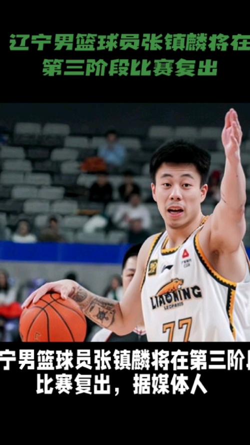 张镇麟爸爸是哪个队的？他与儿子的篮球渊源