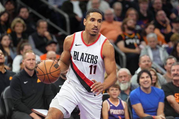 布罗格登好用吗？深度分析他的优缺点及适用场景