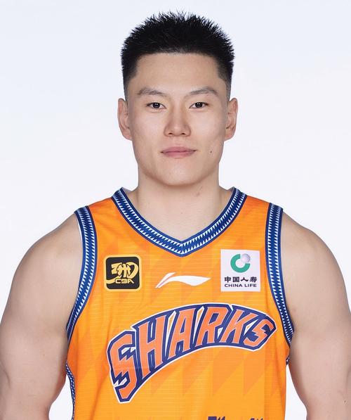 李弘权的出生地是哪里?揭秘篮球新星李弘权的成长故事