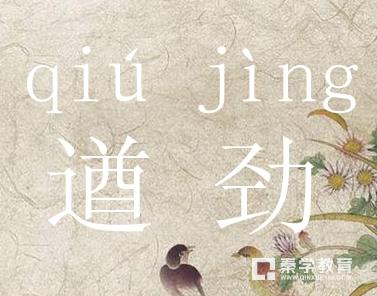 足球拼音怎么写?zú qiú快速学会读写!