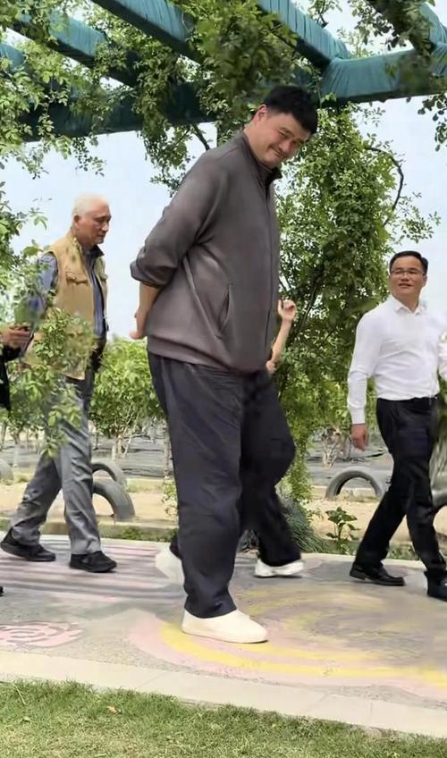 姚明现在还在公众视野吗？他最近的动向和工作是什么？