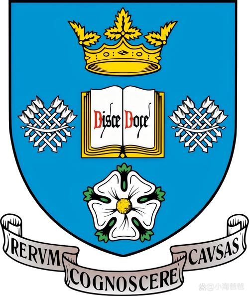 谢菲尔德大学是名校吗？深度解析其排名和实力