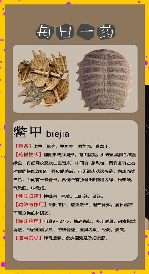 阿甲究竟指什么？揭秘阿甲的多种含义和用法