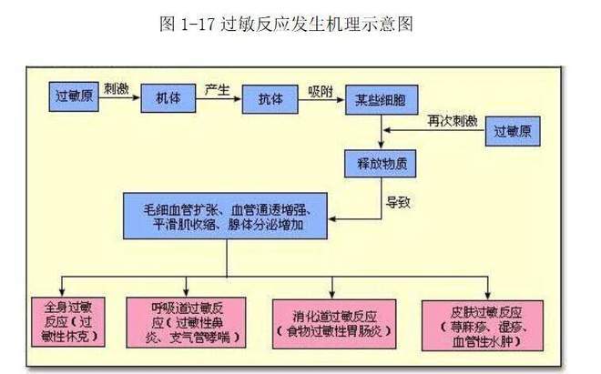 过敏原检测挂什么科?皮肤科、呼吸科还是变态反应科?