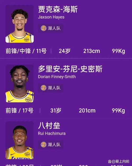 最新湖人队员名单是哪些？看看都有哪些球星加盟