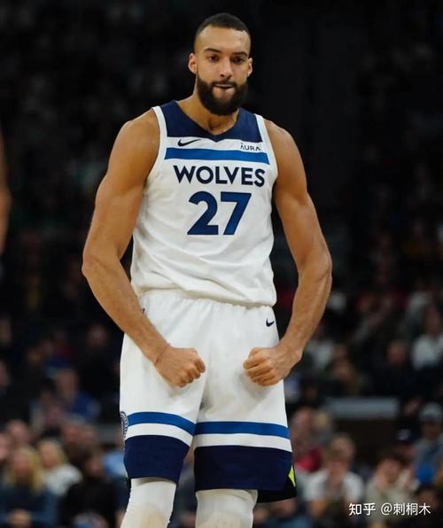 戈贝尔的真实水平究竟如何？数据与评价的矛盾