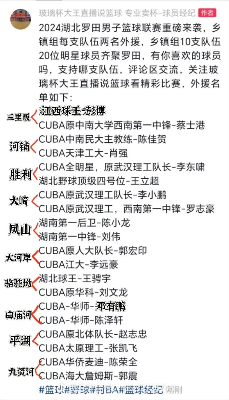 篮球运动员分在哪个球队?深度解析球员球队归属!