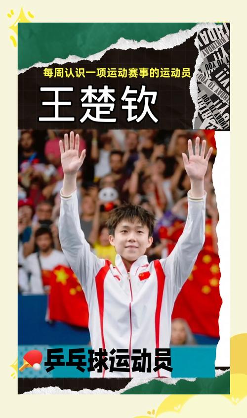 盘点乒乓球大满贯得主：看看都有哪些传奇人物？