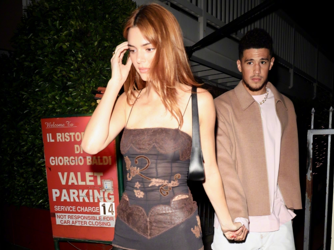 德文布克鸟的体型有多大？关于德文布克鸟的大小全知道