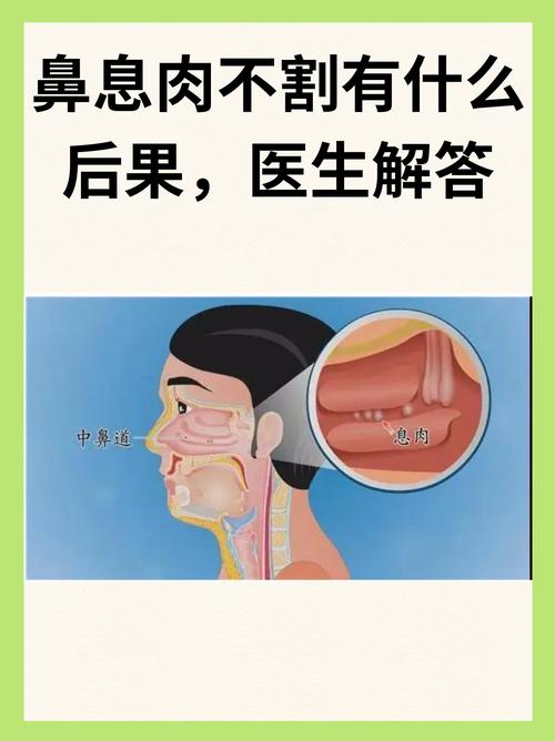 深入解读莫雷事件：影响、后果及后续发展全解析