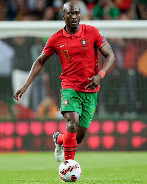 达尼洛佩雷拉:实力究竟如何?深度剖析他的职业生涯和成就