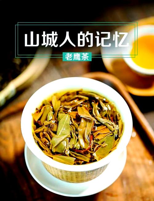 不知道老鹰茶是什么茶？这篇科普文章带你全面了解老鹰茶