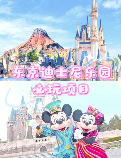 巴斯乐园打不开？教你快速解决登录问题！