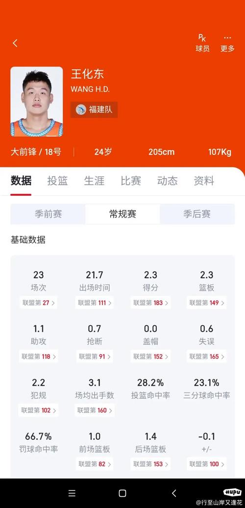 王化东是哪里人？CBA球员王化东的家乡究竟在哪？