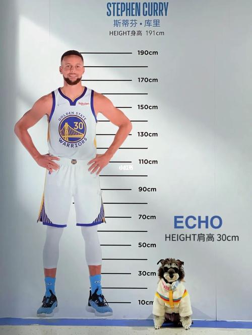 库里身高多少尺？这数据你可能不知道