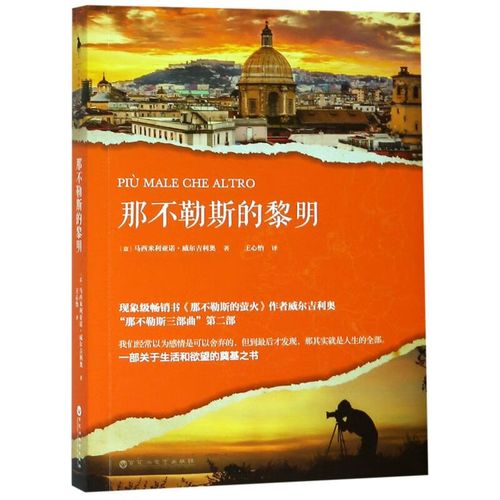 那不勒斯的黎明小说：穿越时空的爱情故事